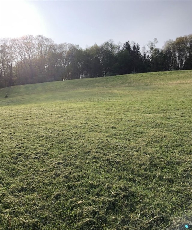 view of yard featuring a rural view