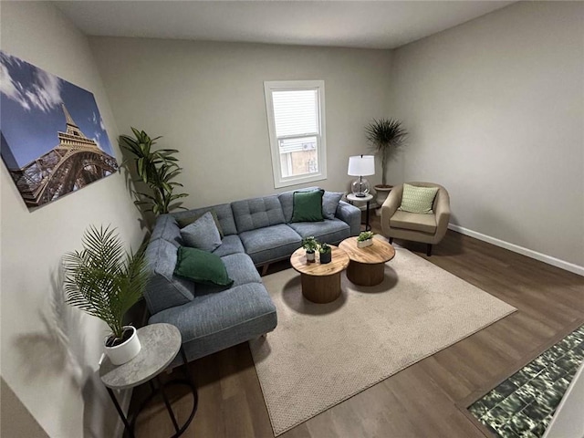 living room featuring hardwood / wood-style flooring