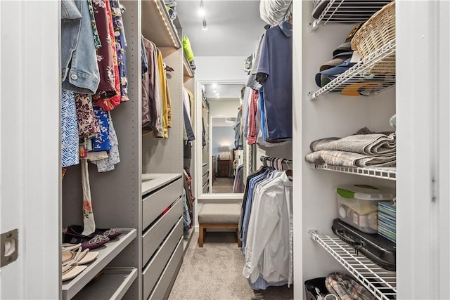 spacious closet featuring carpet floors