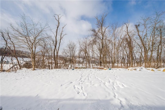 view of yard covered in snow