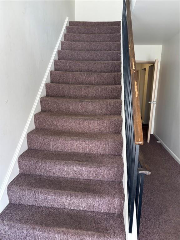 stairs featuring carpet