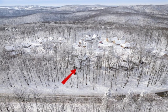 snowy aerial view with a mountain view