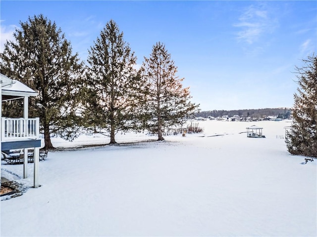 view of yard layered in snow