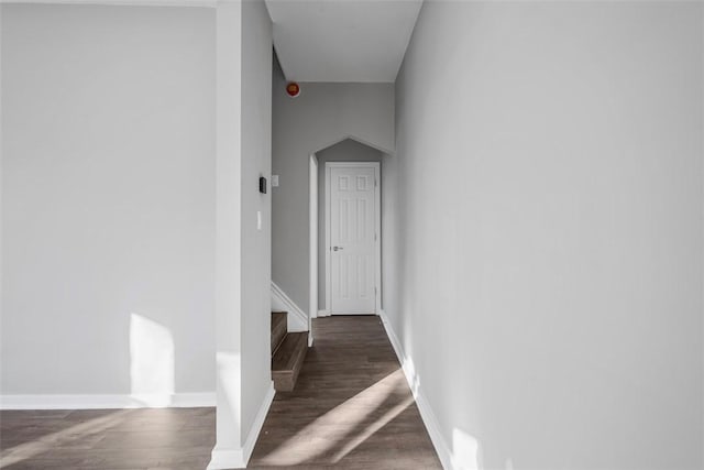 hallway with dark wood-type flooring