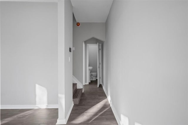 hallway with dark hardwood / wood-style floors