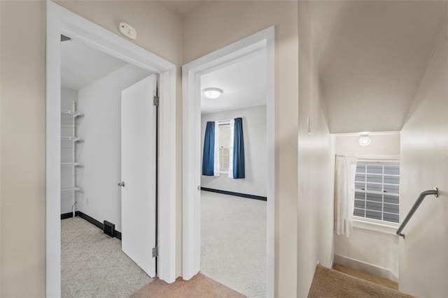 corridor with light colored carpet