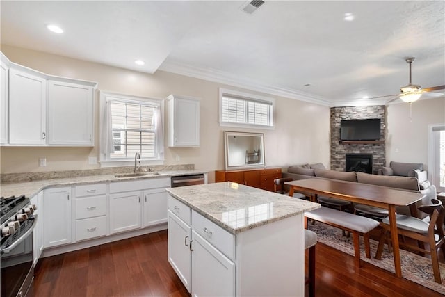 kitchen featuring sink, appliances with stainless steel finishes, dark hardwood / wood-style flooring, a fireplace, and white cabinets