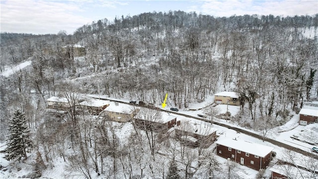 view of snowy aerial view