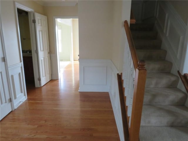 stairway with wood-type flooring