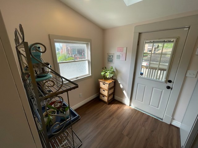 entryway with dark hardwood / wood-style floors, a healthy amount of sunlight, and vaulted ceiling with skylight