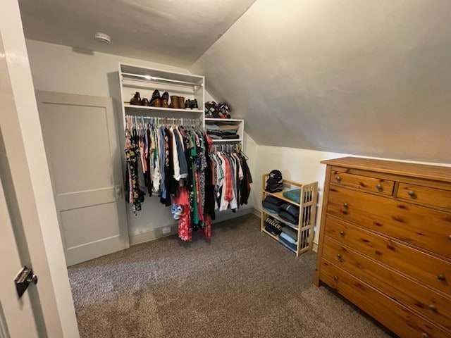 walk in closet with lofted ceiling and carpet