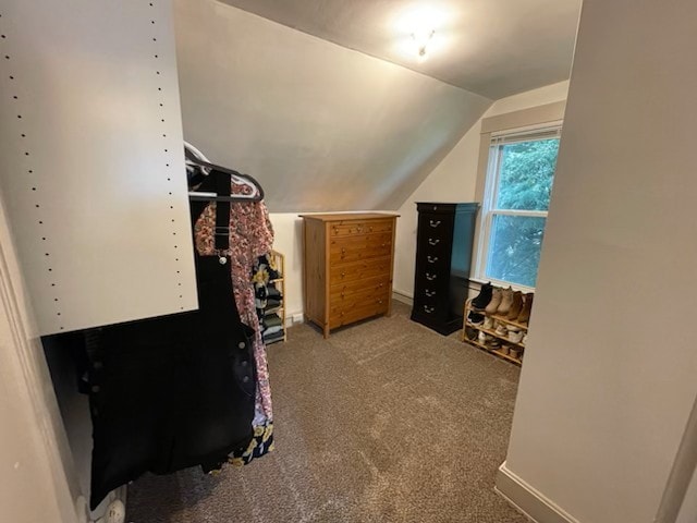 walk in closet featuring vaulted ceiling and carpet flooring