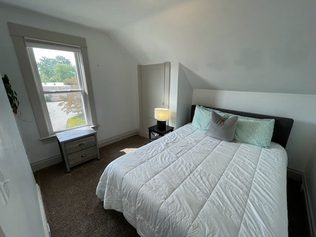 carpeted bedroom with lofted ceiling