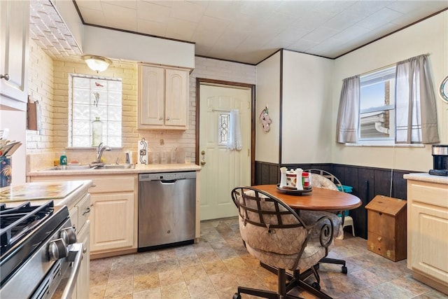 kitchen with a healthy amount of sunlight, stainless steel appliances, sink, and ornamental molding