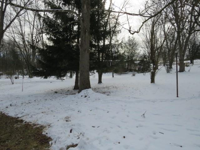 view of yard layered in snow