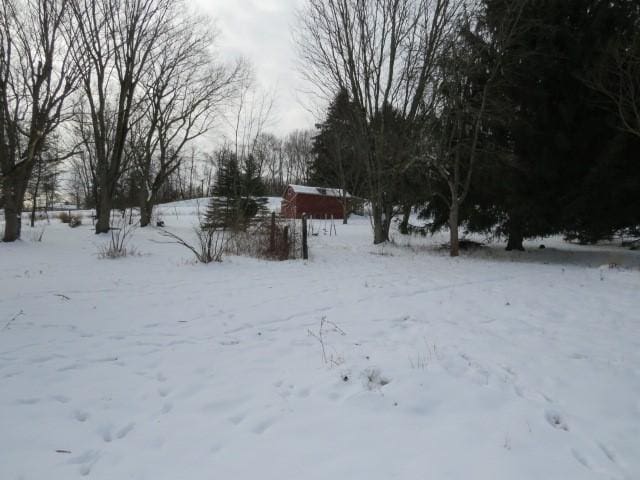 view of yard covered in snow