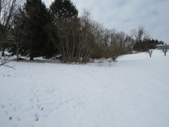 view of yard layered in snow