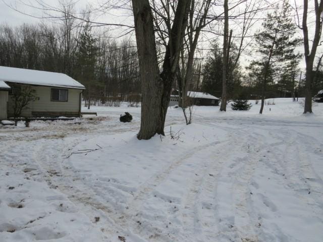 view of snowy yard