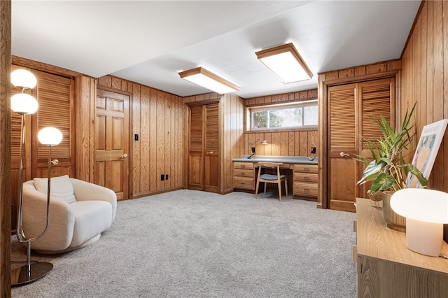 living area with wooden walls and light colored carpet