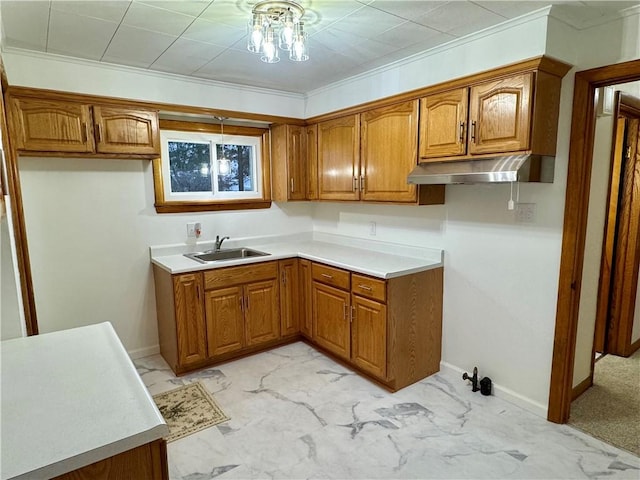 kitchen featuring sink and ornamental molding