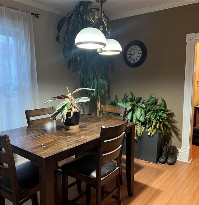 dining space with crown molding and light hardwood / wood-style floors