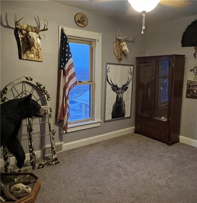 bedroom with carpet flooring