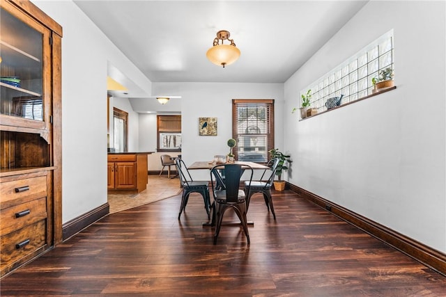 dining area featuring dark hardwood / wood-style flooring