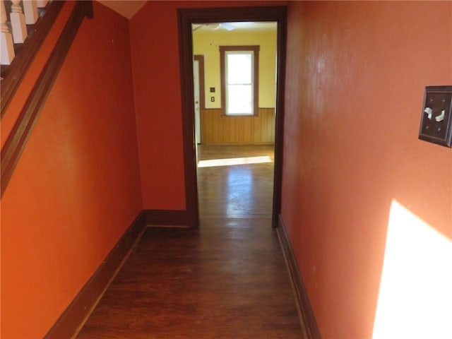 hallway featuring dark wood-type flooring