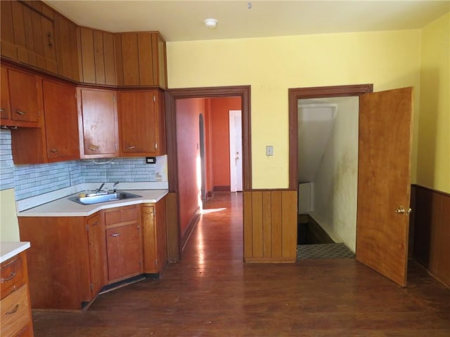 kitchen featuring sink, backsplash, and dark wood-type flooring