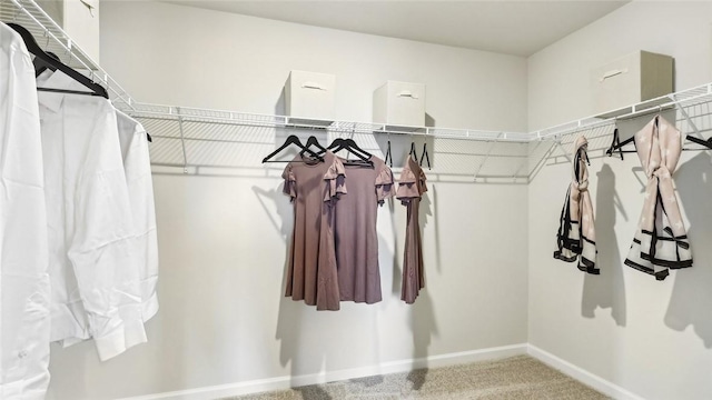 spacious closet with carpet