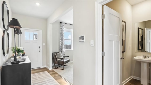 foyer entrance featuring sink, wood-type flooring, and a healthy amount of sunlight