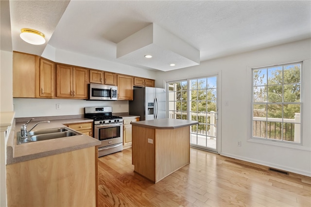 kitchen featuring appliances with stainless steel finishes, a center island, sink, and light hardwood / wood-style flooring