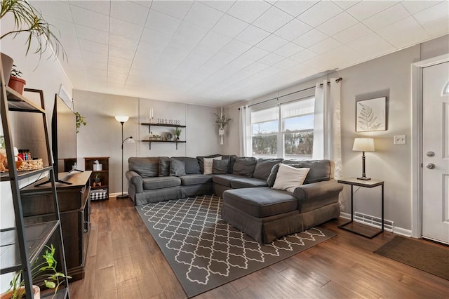 living room with dark hardwood / wood-style flooring