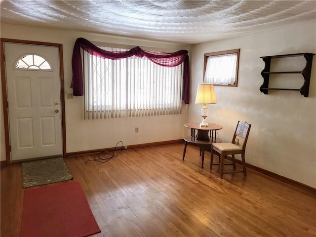 foyer entrance with hardwood / wood-style flooring and plenty of natural light