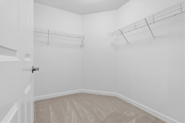 1261 Sandy Ridge Dr, Buffalo Twp, PA 16055 - spacious closet with carpet flooring