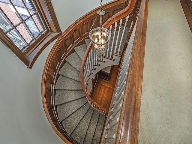 stairs featuring carpet flooring