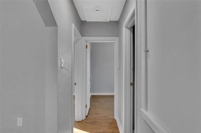 hallway with light hardwood / wood-style flooring