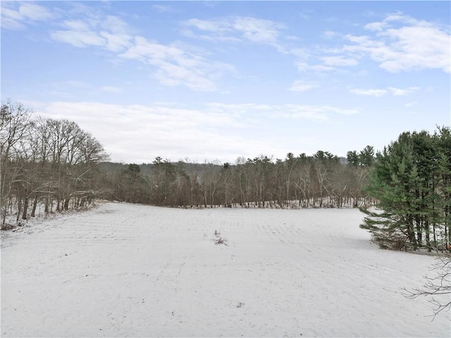 view of yard covered in snow