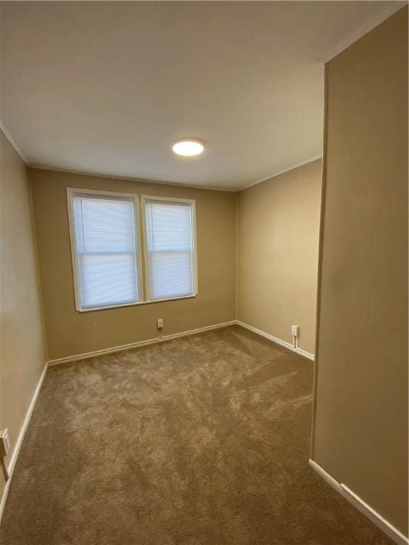 carpeted empty room featuring ornamental molding