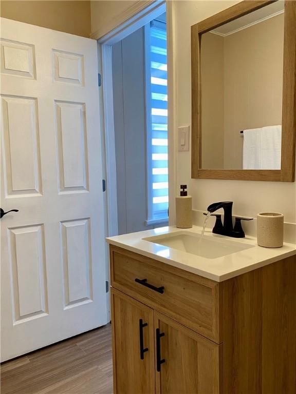 bathroom featuring vanity, hardwood / wood-style floors, and a healthy amount of sunlight