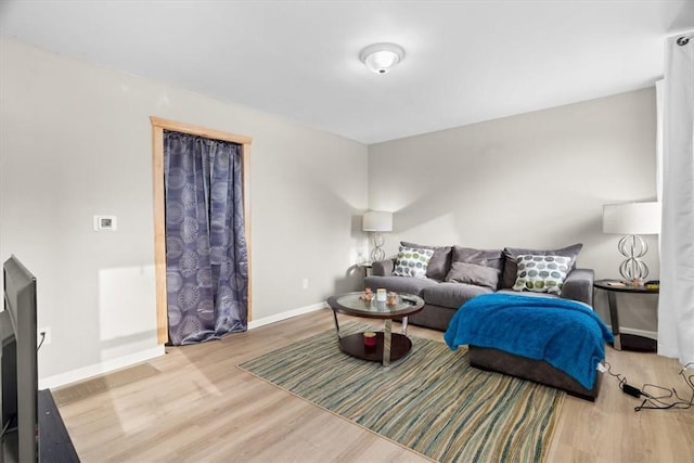 living room with hardwood / wood-style floors