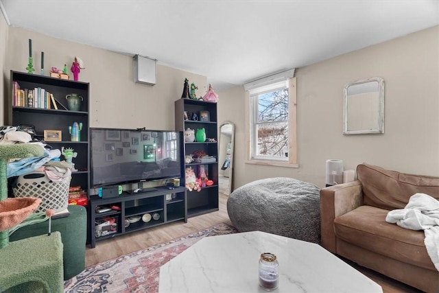 living room featuring light hardwood / wood-style floors