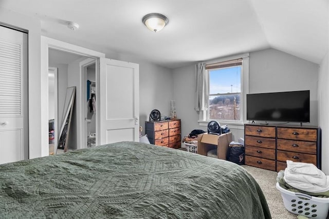 bedroom featuring vaulted ceiling and a closet