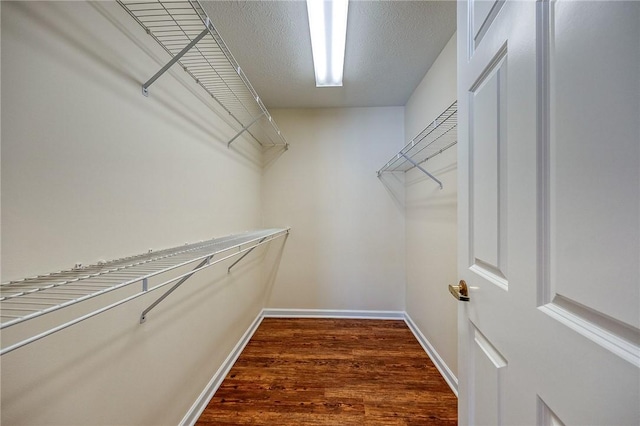 spacious closet with dark hardwood / wood-style flooring