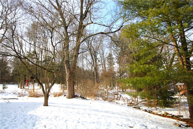 view of yard covered in snow