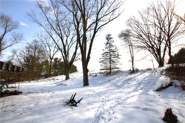 view of yard layered in snow