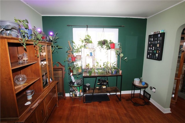 misc room with dark hardwood / wood-style floors