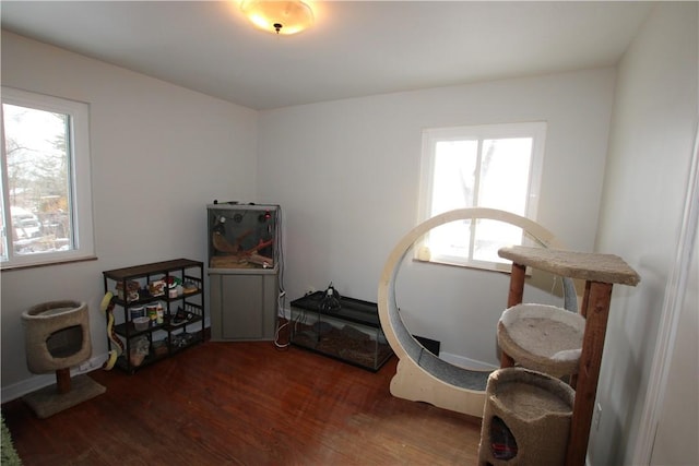 misc room with a wealth of natural light and dark wood-type flooring