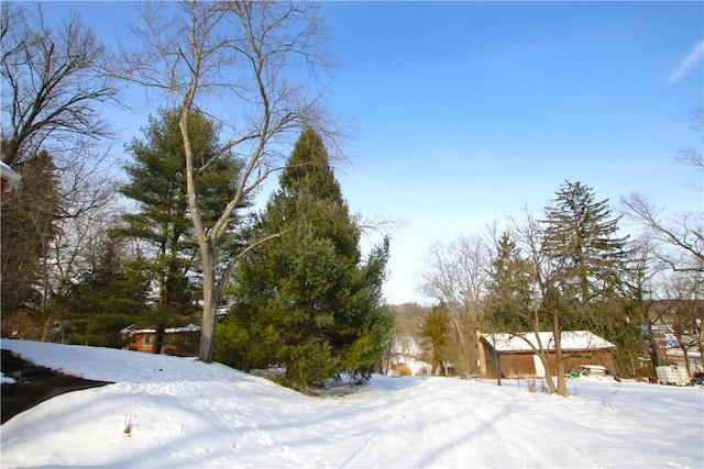 view of yard covered in snow