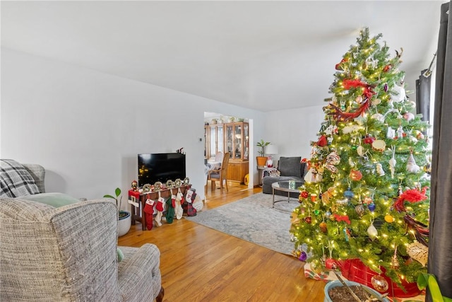 living room with hardwood / wood-style flooring